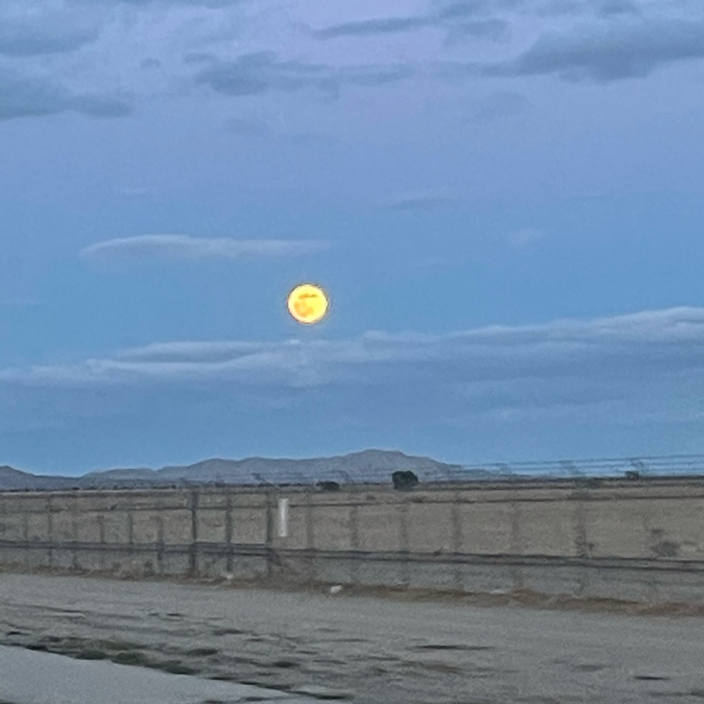 Meet your Posher, Marcia